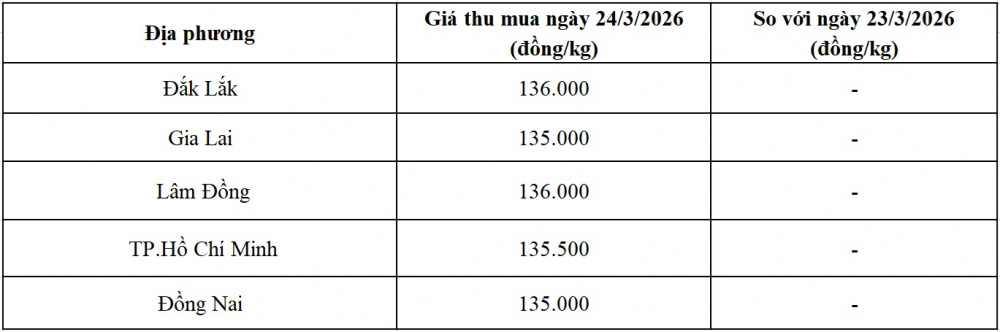 giá tiêu hôm nay