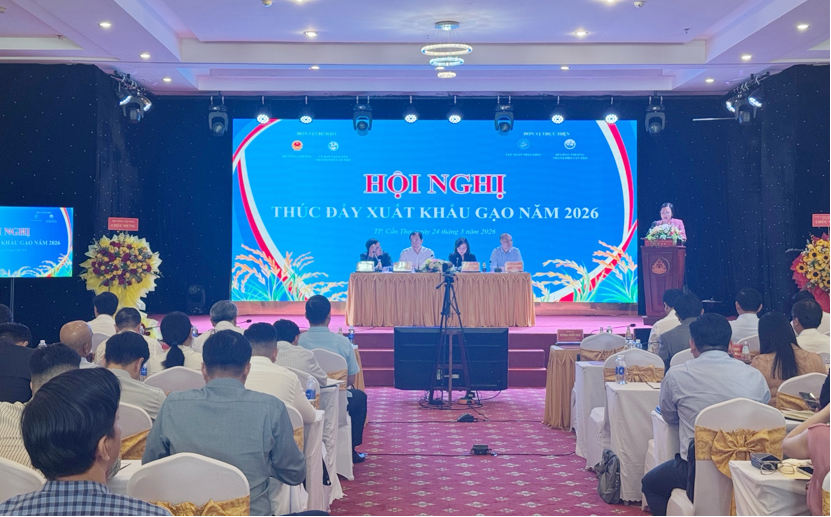 Cwin Đăng Ký + 1888k gạo
