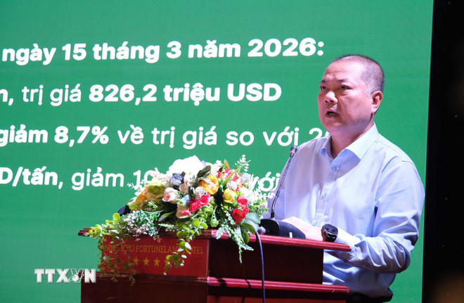 Nguyễn Anh Sơn
