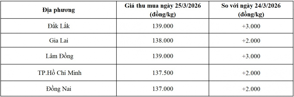 giá tiêu hôm nay