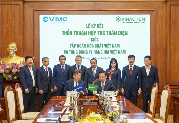 hợp tác 3