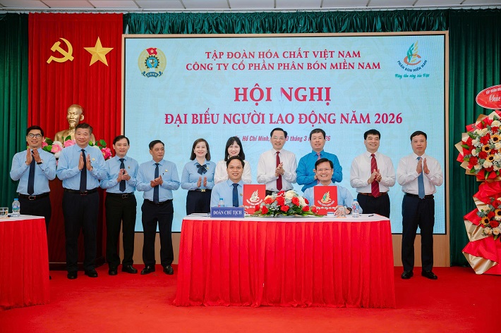 người Nền tảng hàng đầu cung cấp Cwin com 8