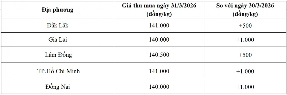 giá tiêu hôm nay