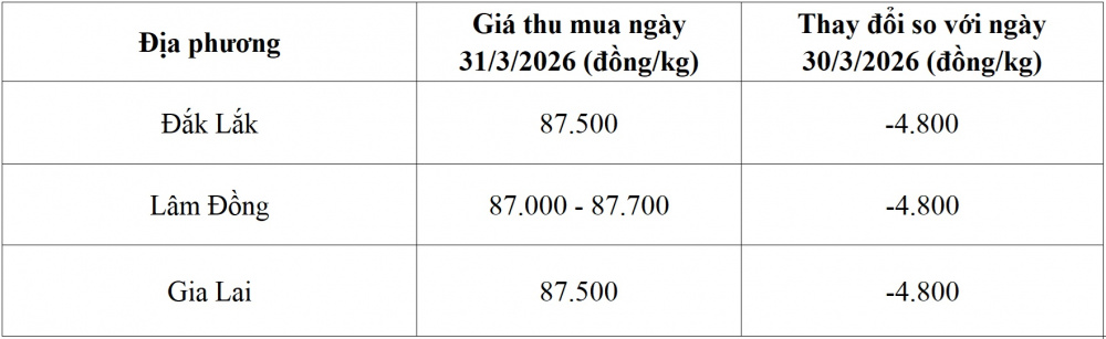 giá cà phê hôm nay