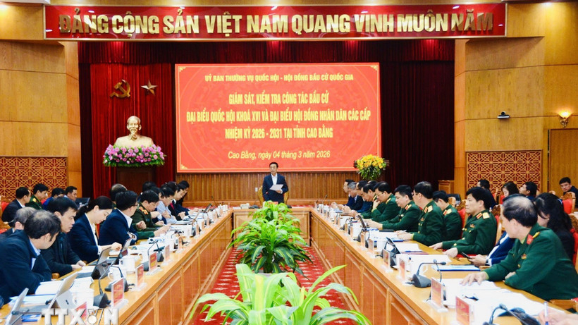 bầu cử 