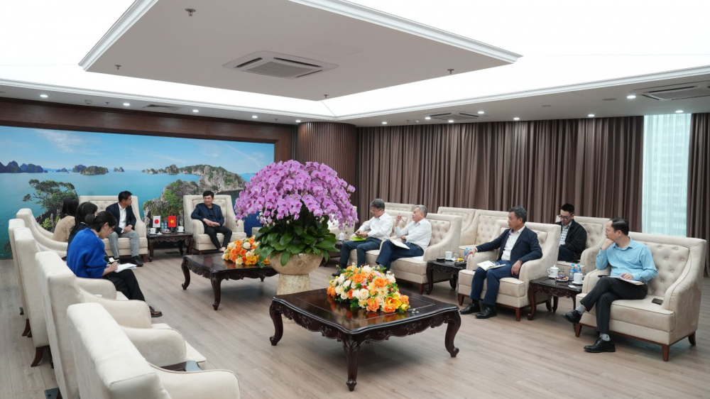 hợp tác