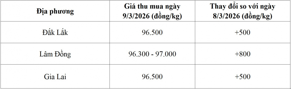 giá cà phê hôm nay