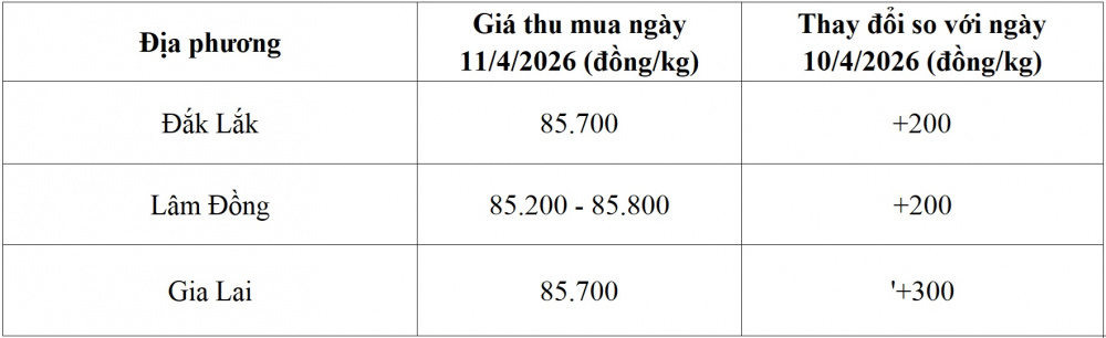 giá cà phê hôm nay