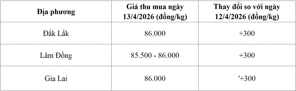 giá cà phê hôm nay