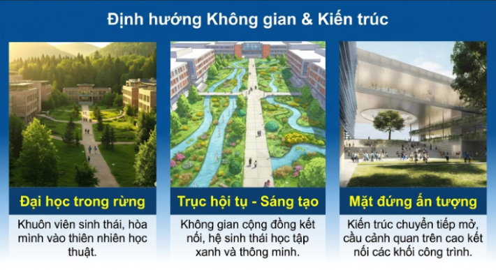 Dự án