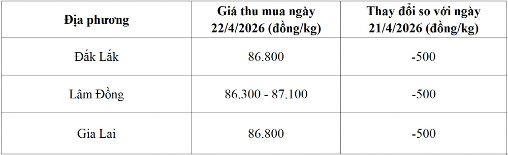 giá cà phê hôm nay