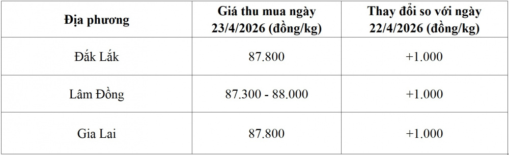 giá cà phê hôm nay