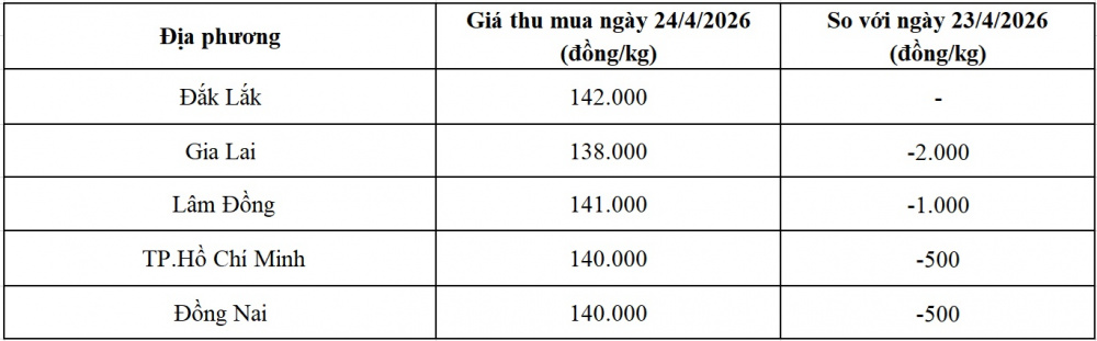 giá tiêu hôm nay