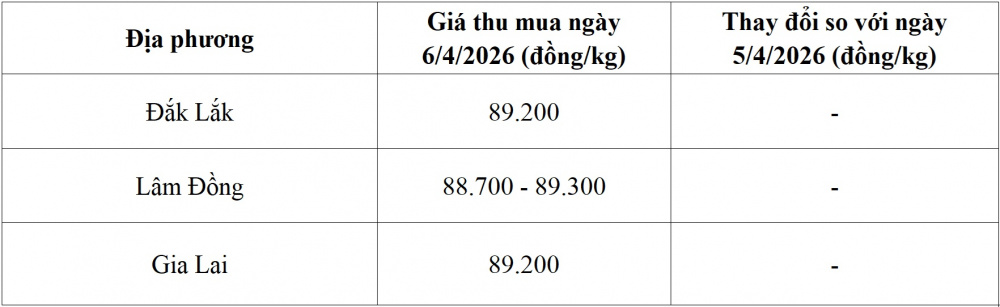 giá cà phê hôm nay