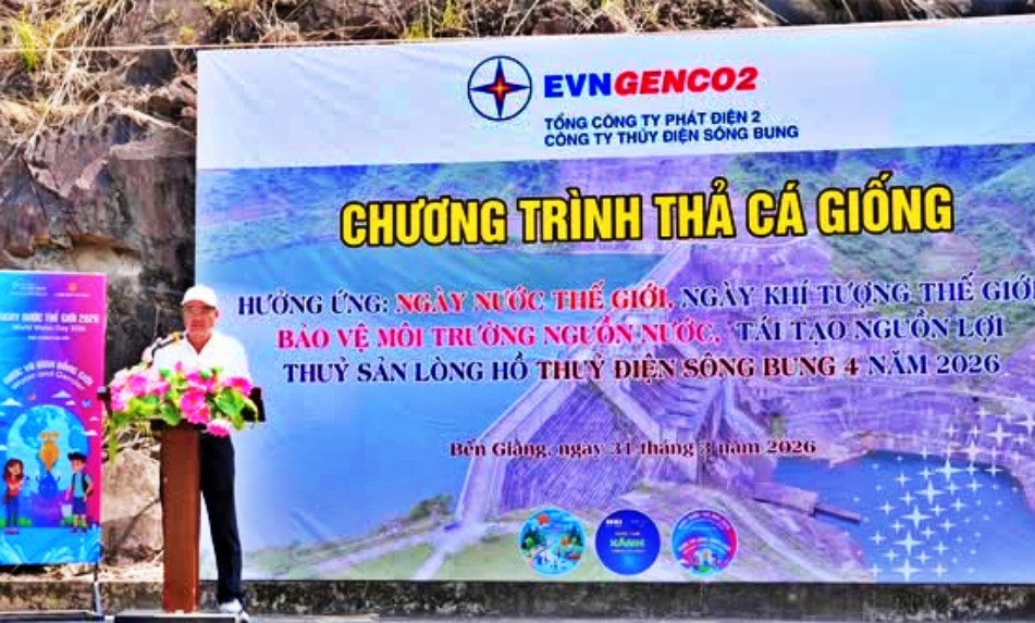 Cwin800 cá cược chung kết WC 2026 Sông Bung