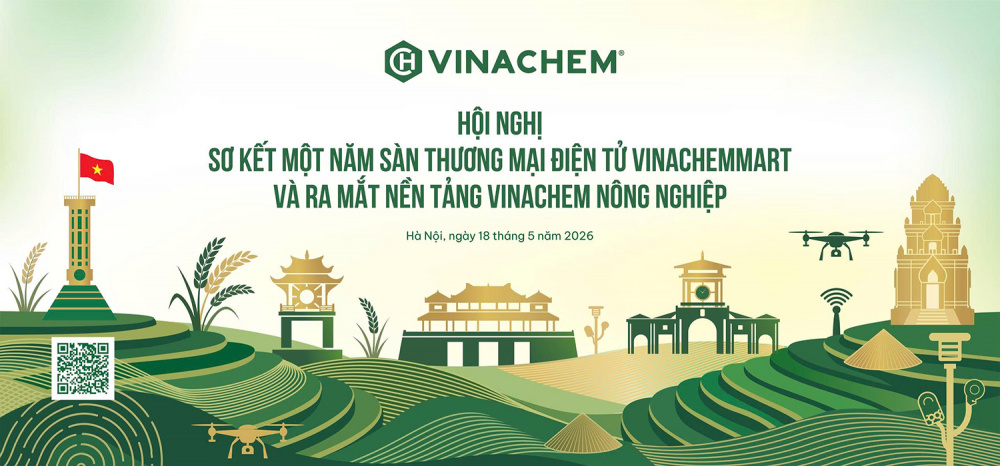 Cwin.com link không chặn