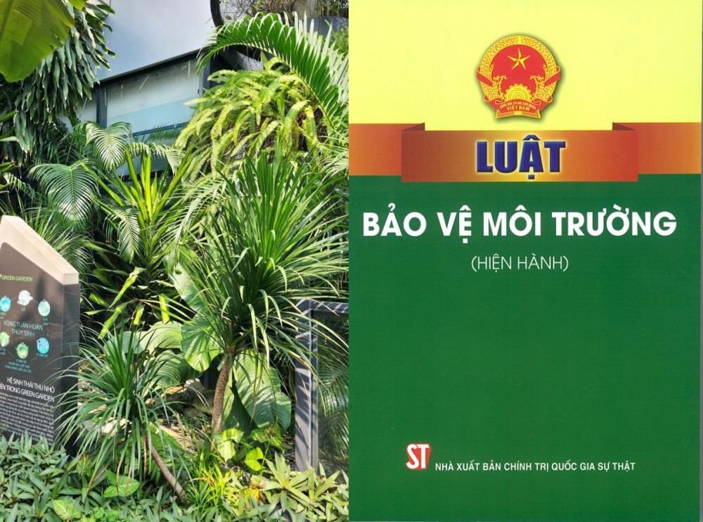 kế hoạch thực hiện nhiệm vụ bảo vệ môi trường Cwin63 sân chơi đỉnh cao