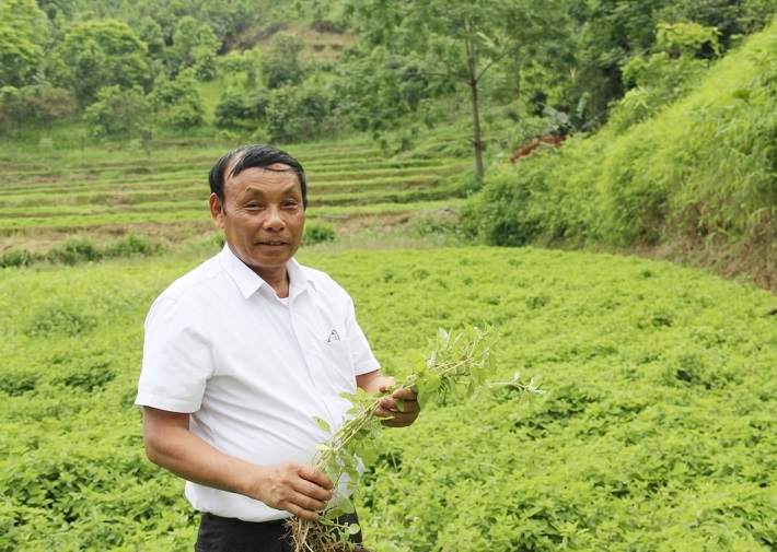 Thạch đen