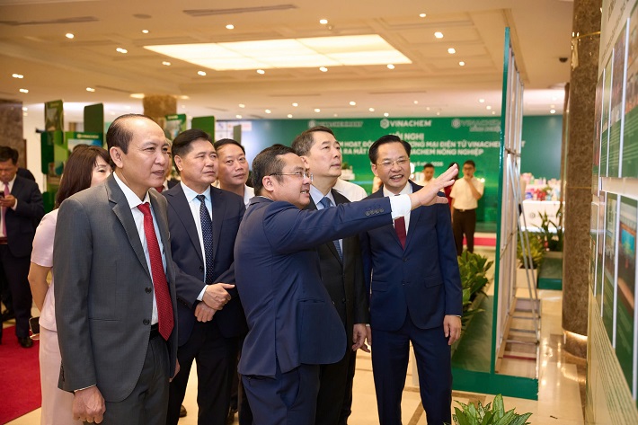 Cwin.com link không chặn 4