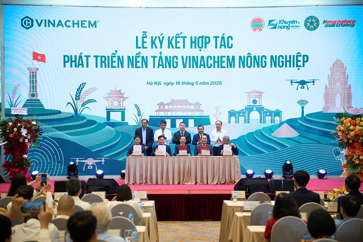 Cwin.com link không chặn 8