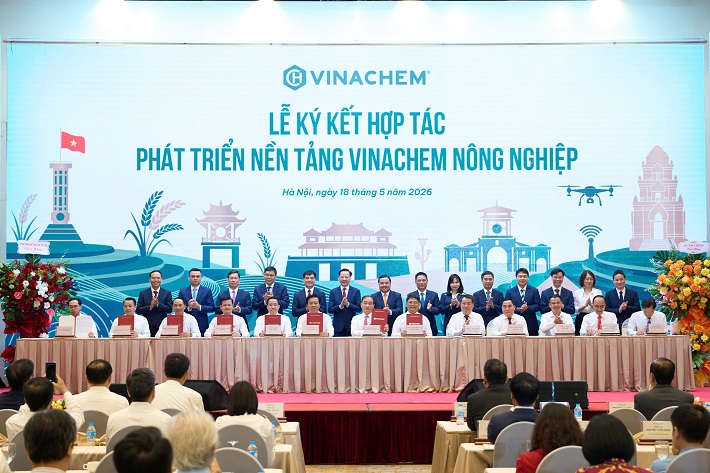 Cwin.com link không chặn 9