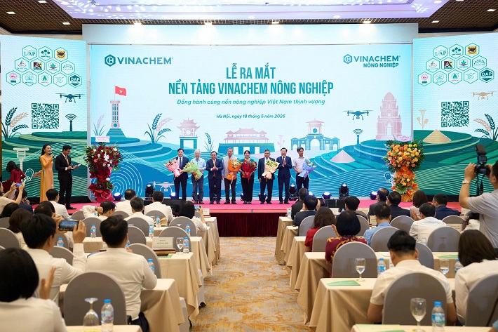 Cwin.com link không chặn 10