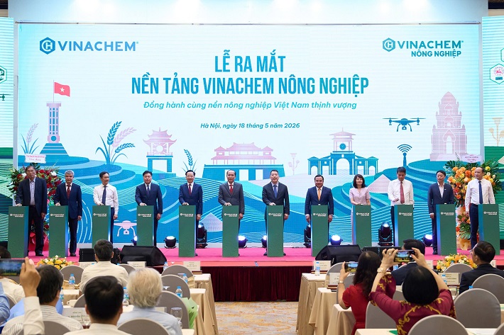 Cwin.com link không chặn 13