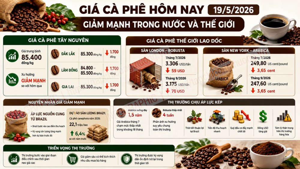 giá cà phê hôm nay