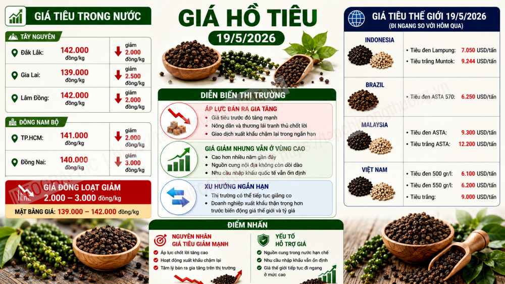 giá tiêu hôm nay