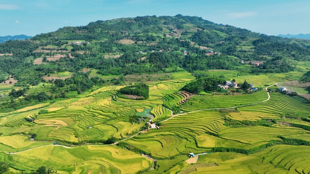 quy chế nông thôn mới