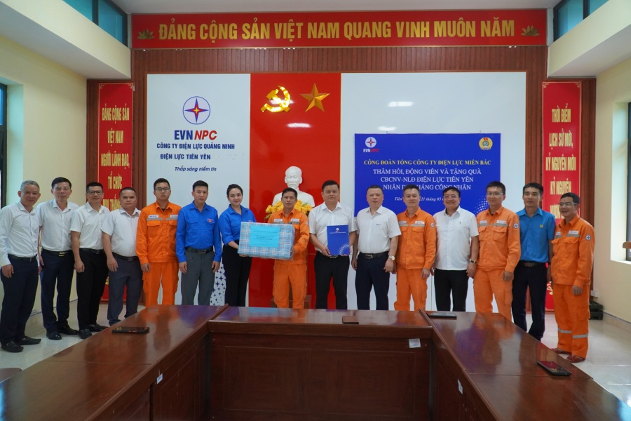 Công ty Điện lực Quảng Ninh
