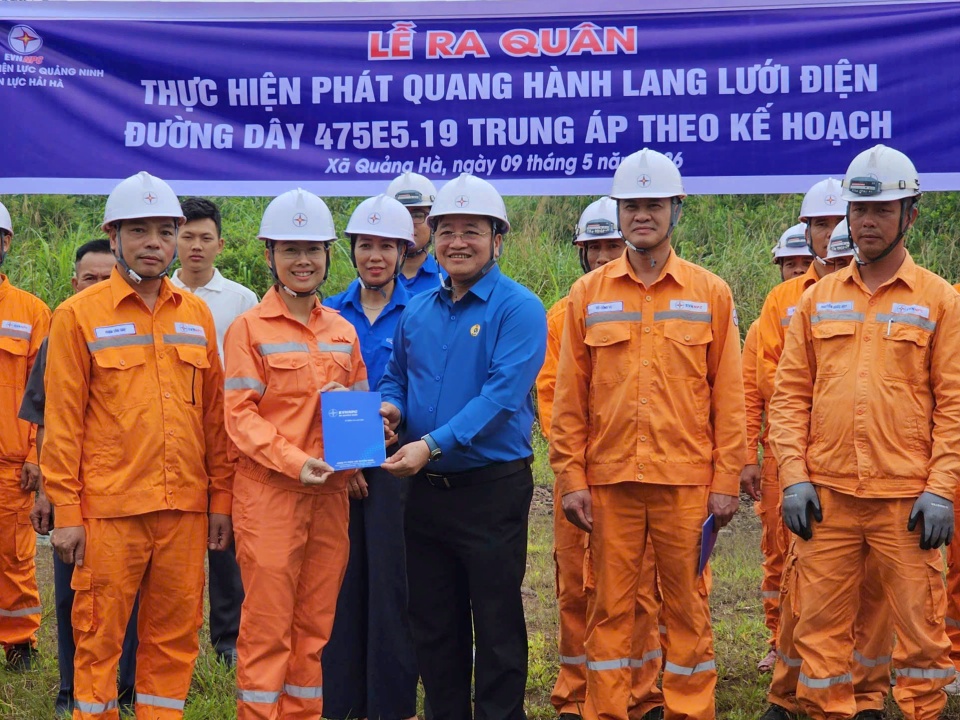 Công ty Điện lực Quảng Ninh