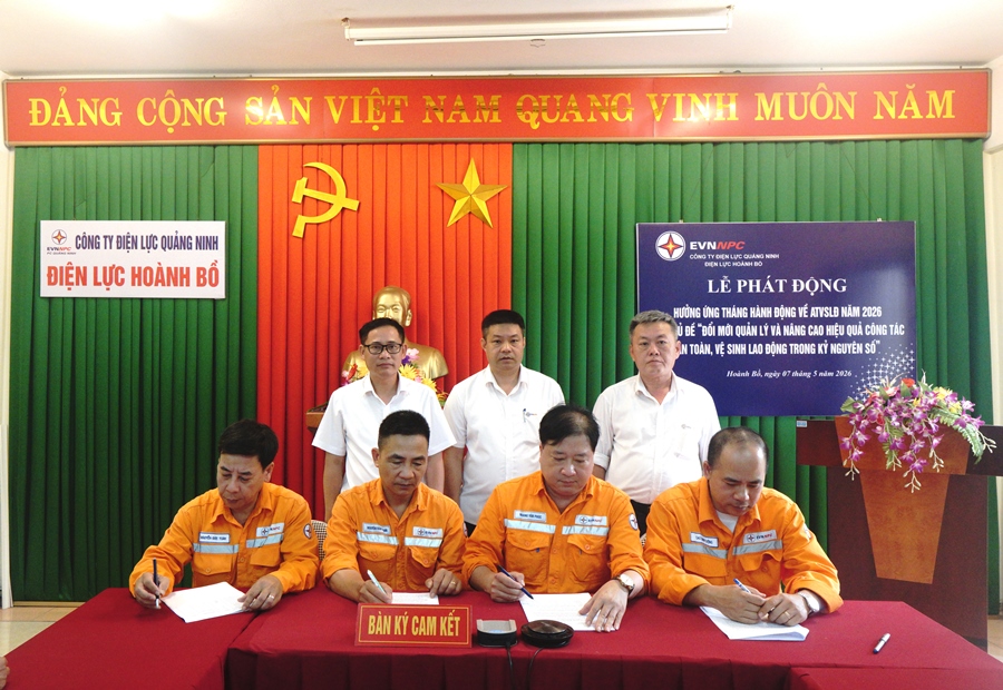 Công ty Điện lực Quảng Ninh