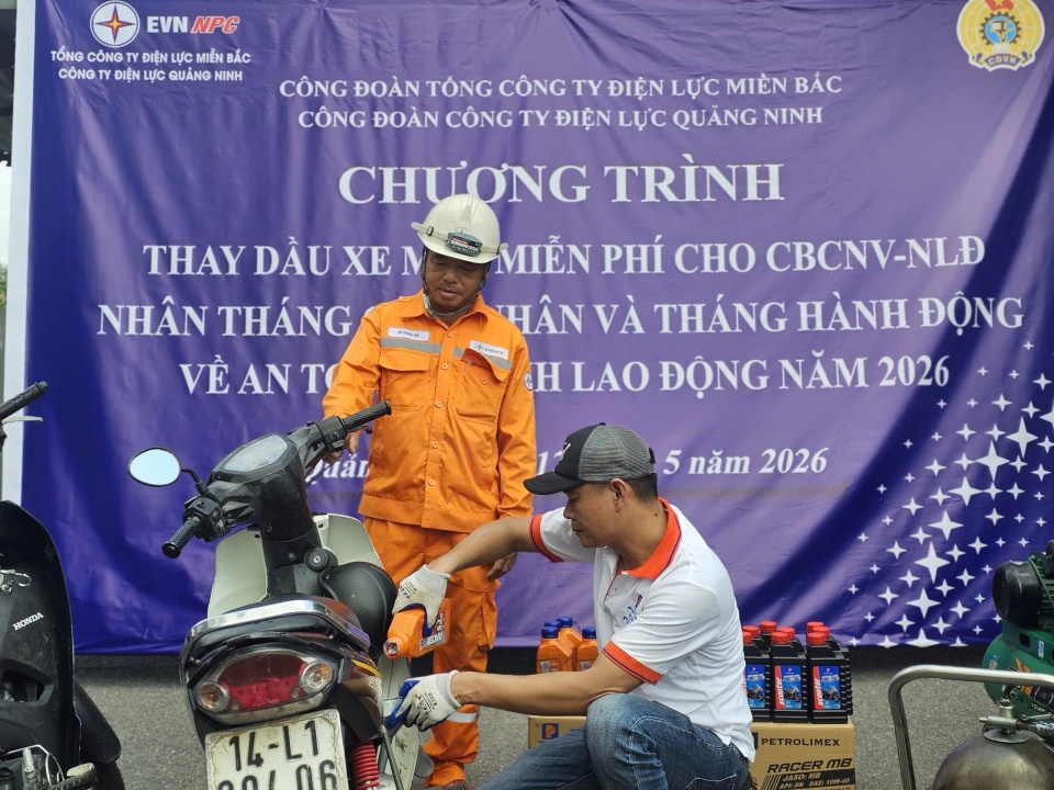 Công ty Điện lực Quảng Ninh