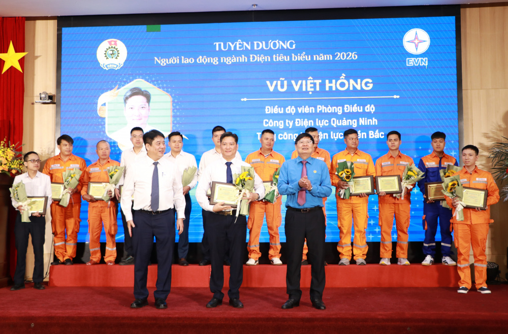 Công ty Điện lực Quảng Ninh