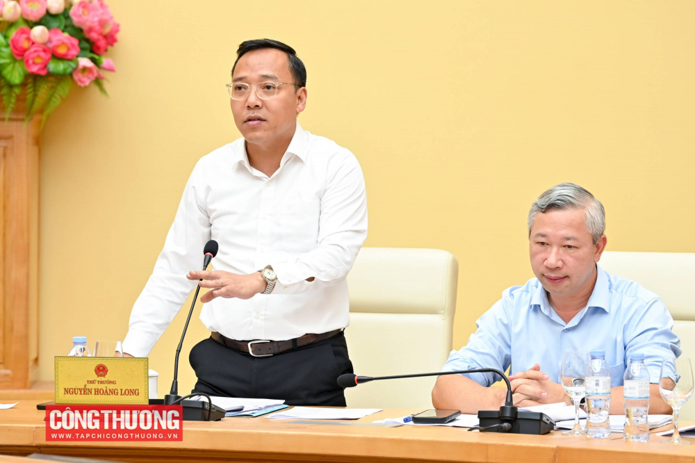 Thứ trưởng Nguyễn Hoàng Long phát biểu tại hội nghị