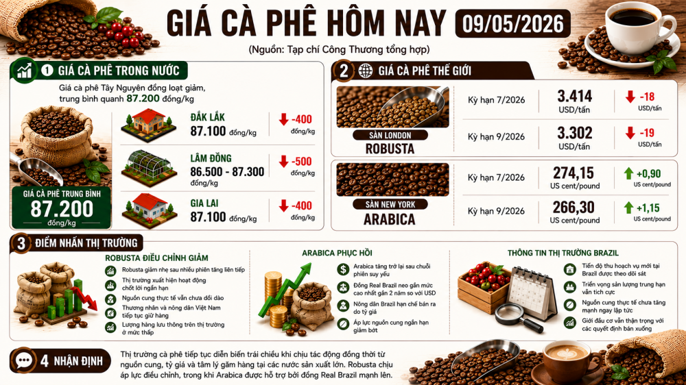 giá cà phê hôm nay
