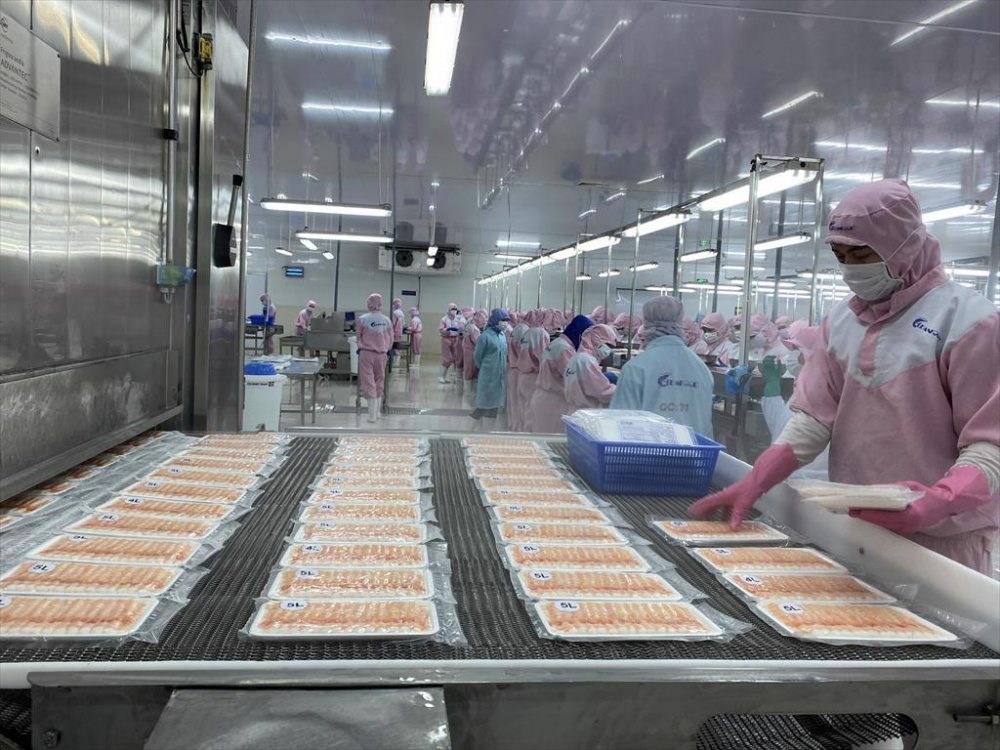 cơ sở Link vào Cwin Cá Cược Thể Thao 2026