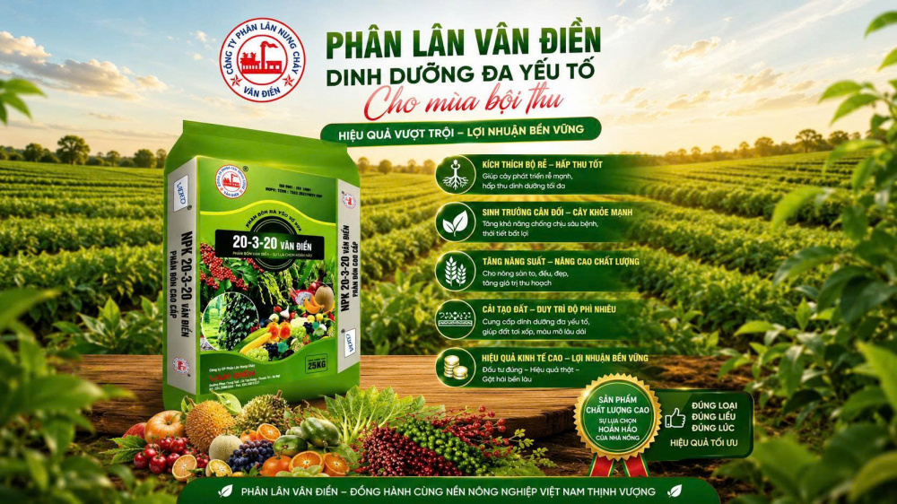 phân bón văn điển