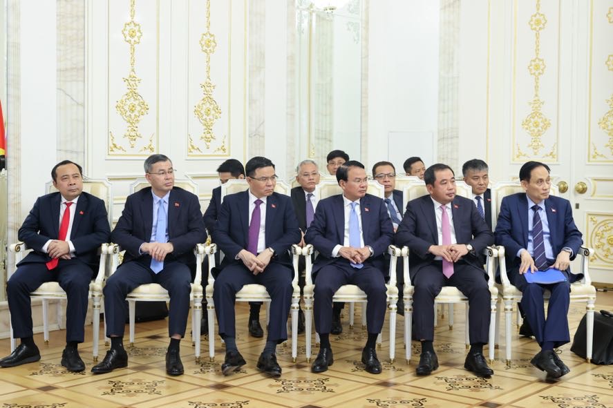 đoàn việt nam
