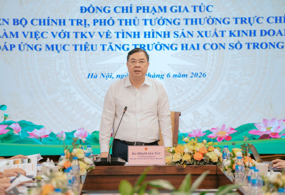 phó thủ tướng 