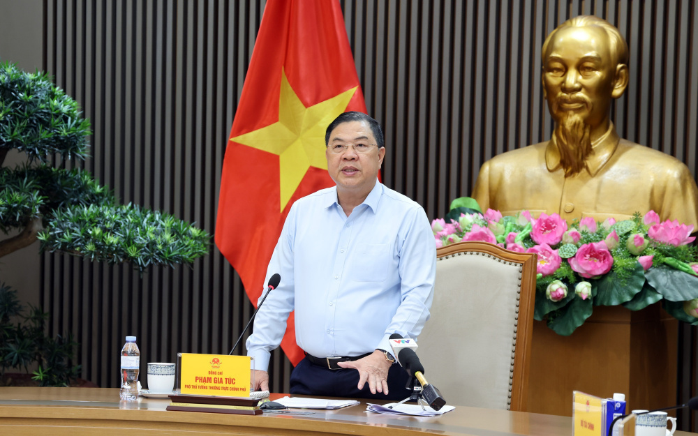 Phó Thủ tướng Thường trực Phạm Gia Túc phát biểu tại cuộc họp - Ảnh: VGP/Phương Nguyên
