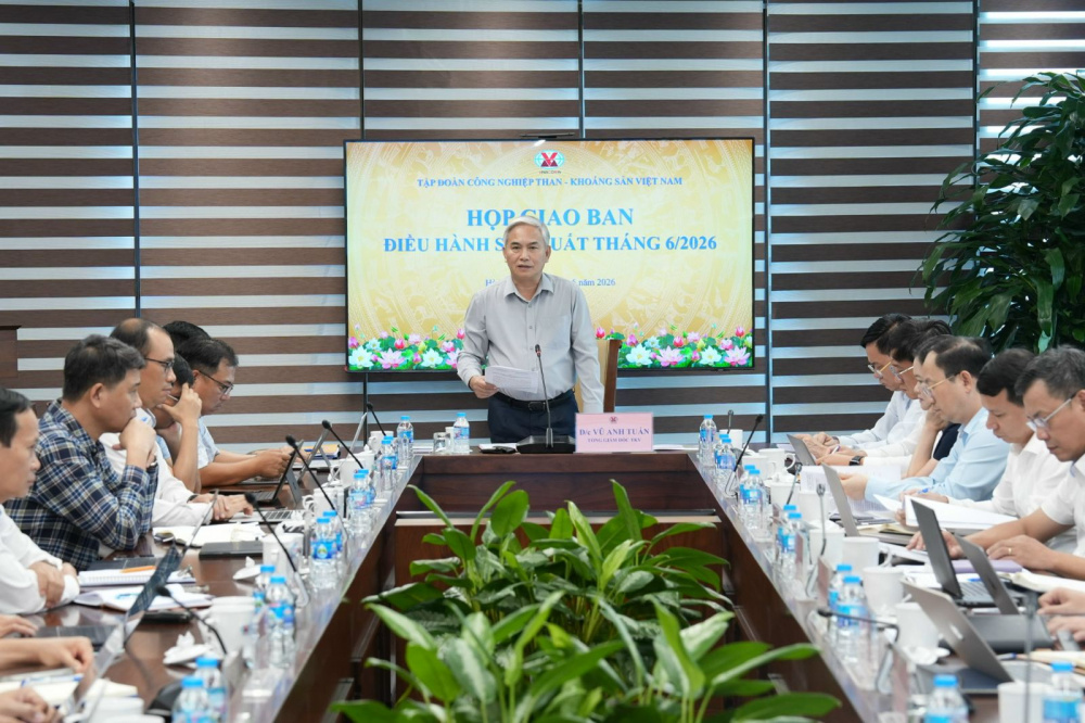 cung ứng than cho Nền tảng hàng đầu cung cấp Cwin com điện