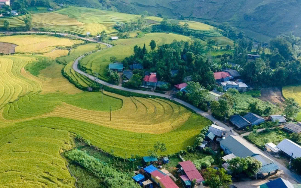 thành lập ban chỉ đạo
