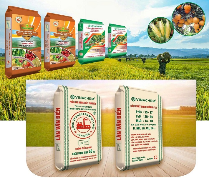 phân bón văn điển