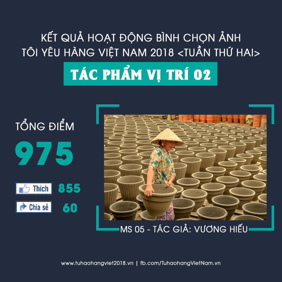 Tác phẩm MS 05 của tác giả Kiều Anh Dũng với tác phẩm "Thụ phấn nhân tạo cho dưa lưới trồng bằng công nghệ thủy canh" với 845 lượt Share và 160 lượt Like đạt tổng 1.165 điểm