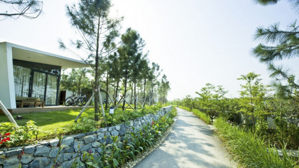 đại lải