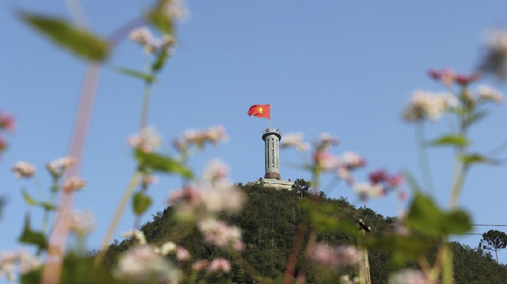 tam giác mạch