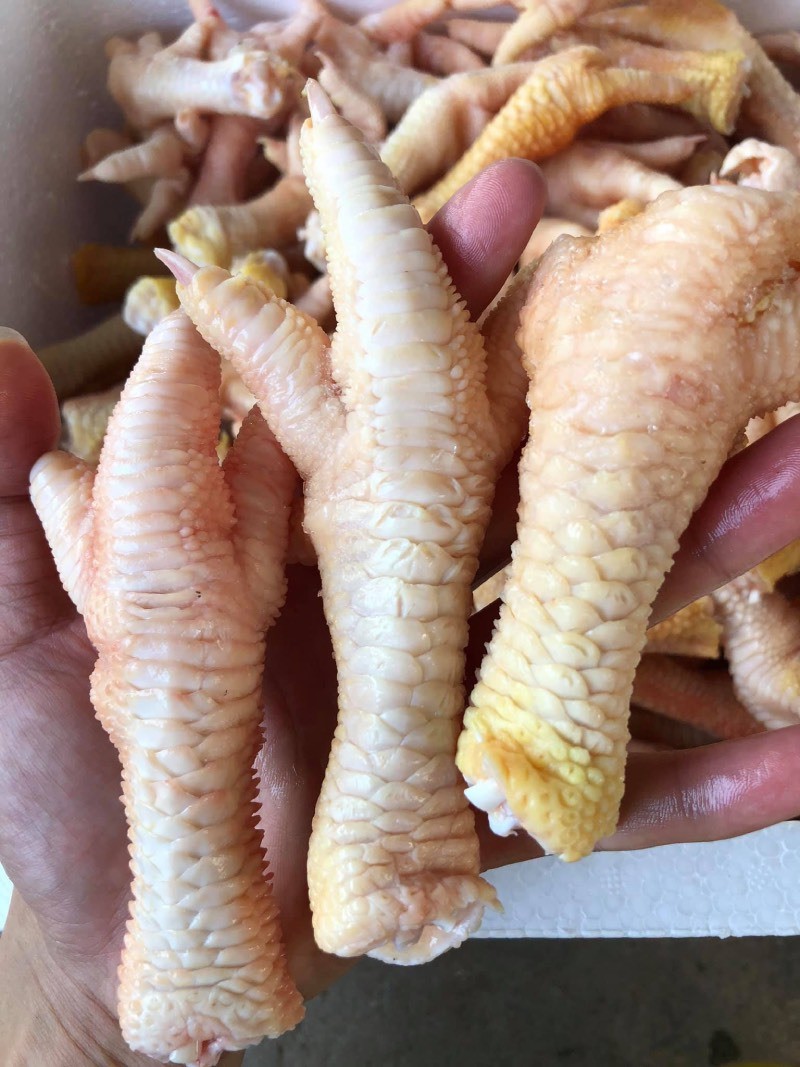 chân gà Đông Tảo