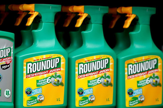 Chất glyphosate có trong thuốc diệt cỏ Roundup